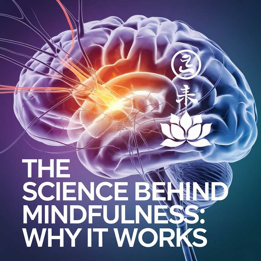 The Science Behind Mindfulness: Why It Works